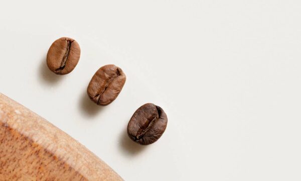arabica coffee vs robusta coffee