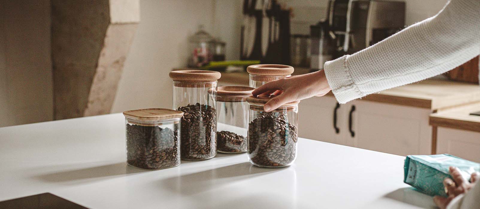 Arabica vs Robusta