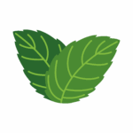 95-menthe