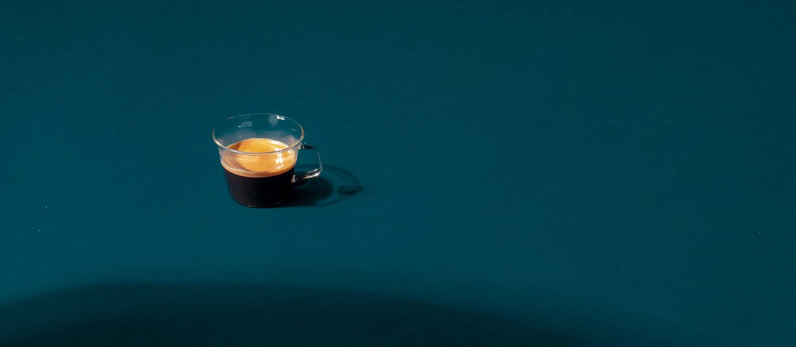 blue mountain kaffee bestellen